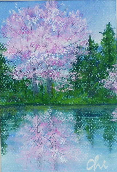 風景画 水辺の桜 Chizuko Art Meter