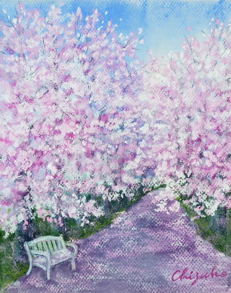 風景画 桜のトンネル Chizuko Art Meter