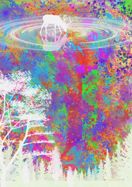 水鏡の下