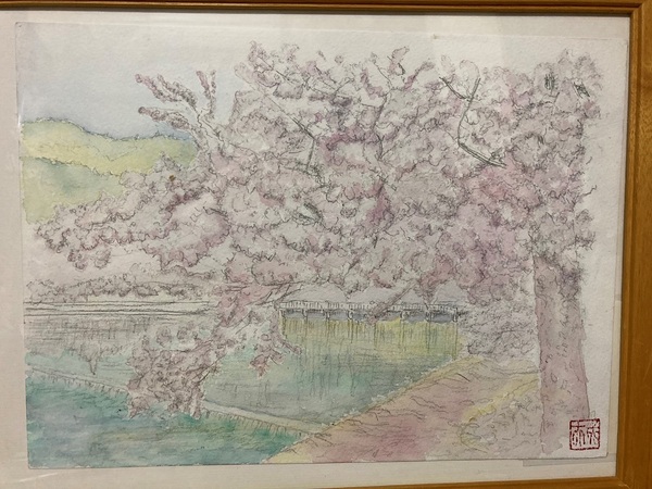 京都嵐山 桜