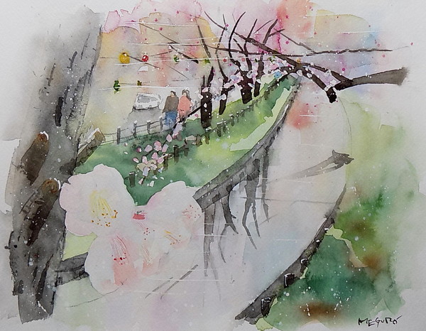 川越の桜並木