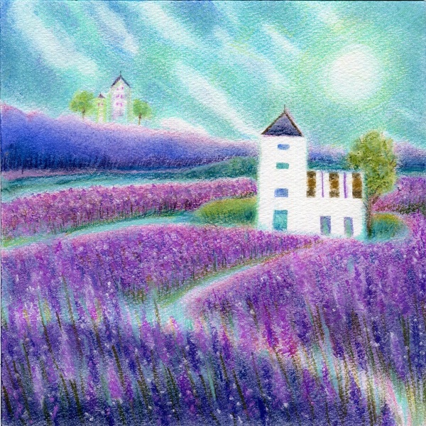 lavender garden