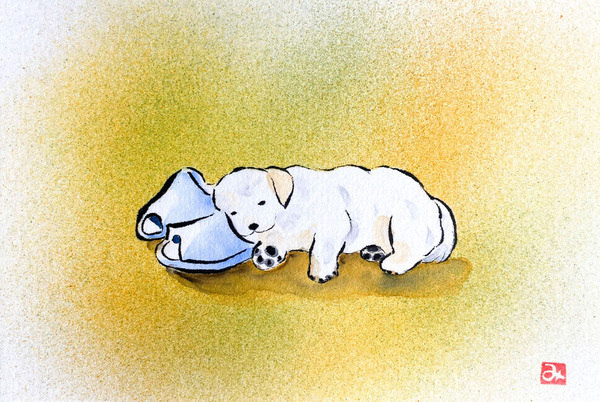 子犬の昼寝～ゴールデンレトリバー～