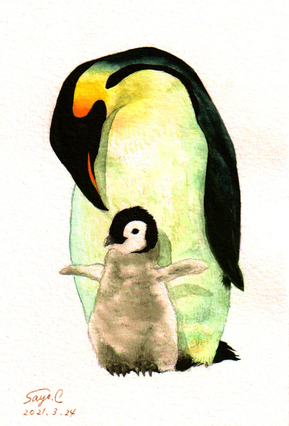 精密画 皇帝ペンギン 千浦小夜 Art Meter