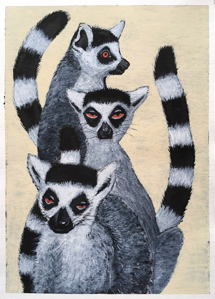 イラスト画 ワオキツネザル2 Summer7 Art Meter