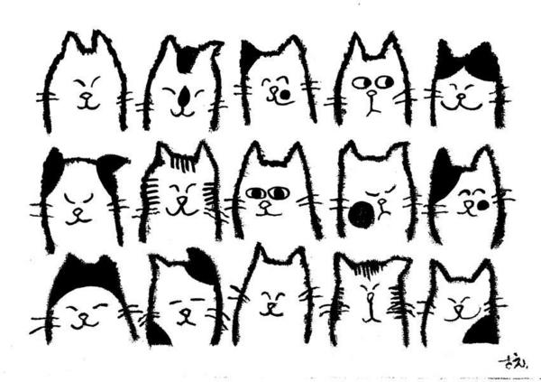 猫模様?