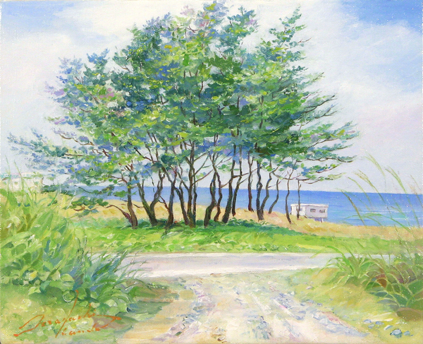 夏の風