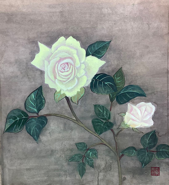 黄色の薔薇