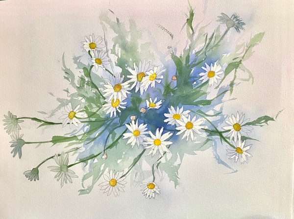 Cool画 マーガレット Miwa Art Meter