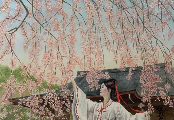 枝垂れ桜と巫女