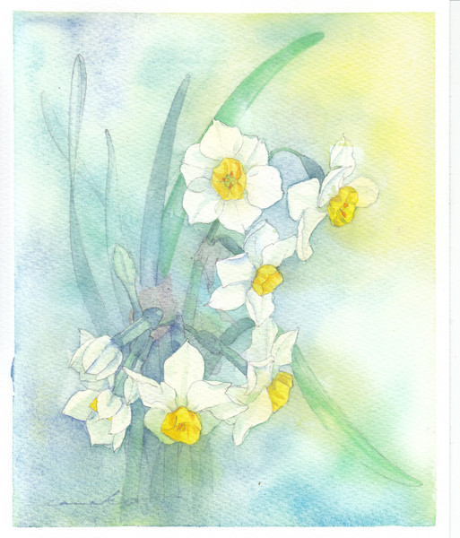 Relax画 日本水仙 Canako Art Meter