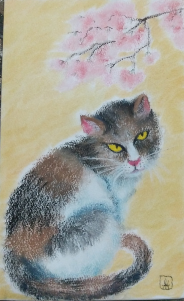 桜猫