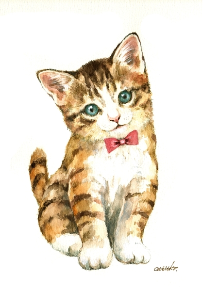 kitten_2