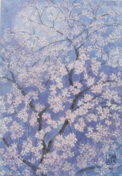 桜