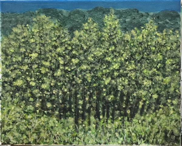 森林浴