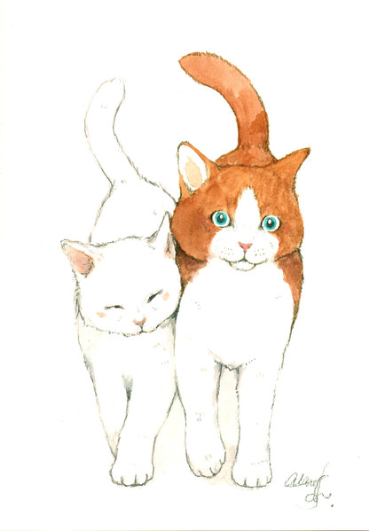cats
