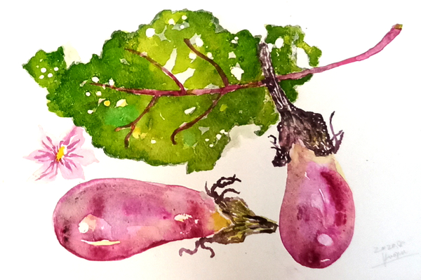 茄子