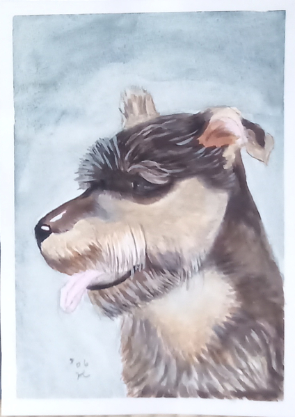 犬