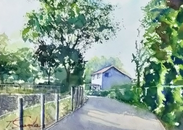 白い家7
