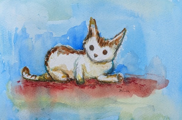 こねこ