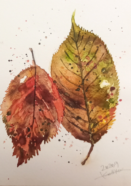 桜の落ち葉