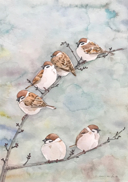 ふくらすずめ