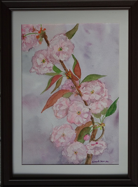 八重桜
