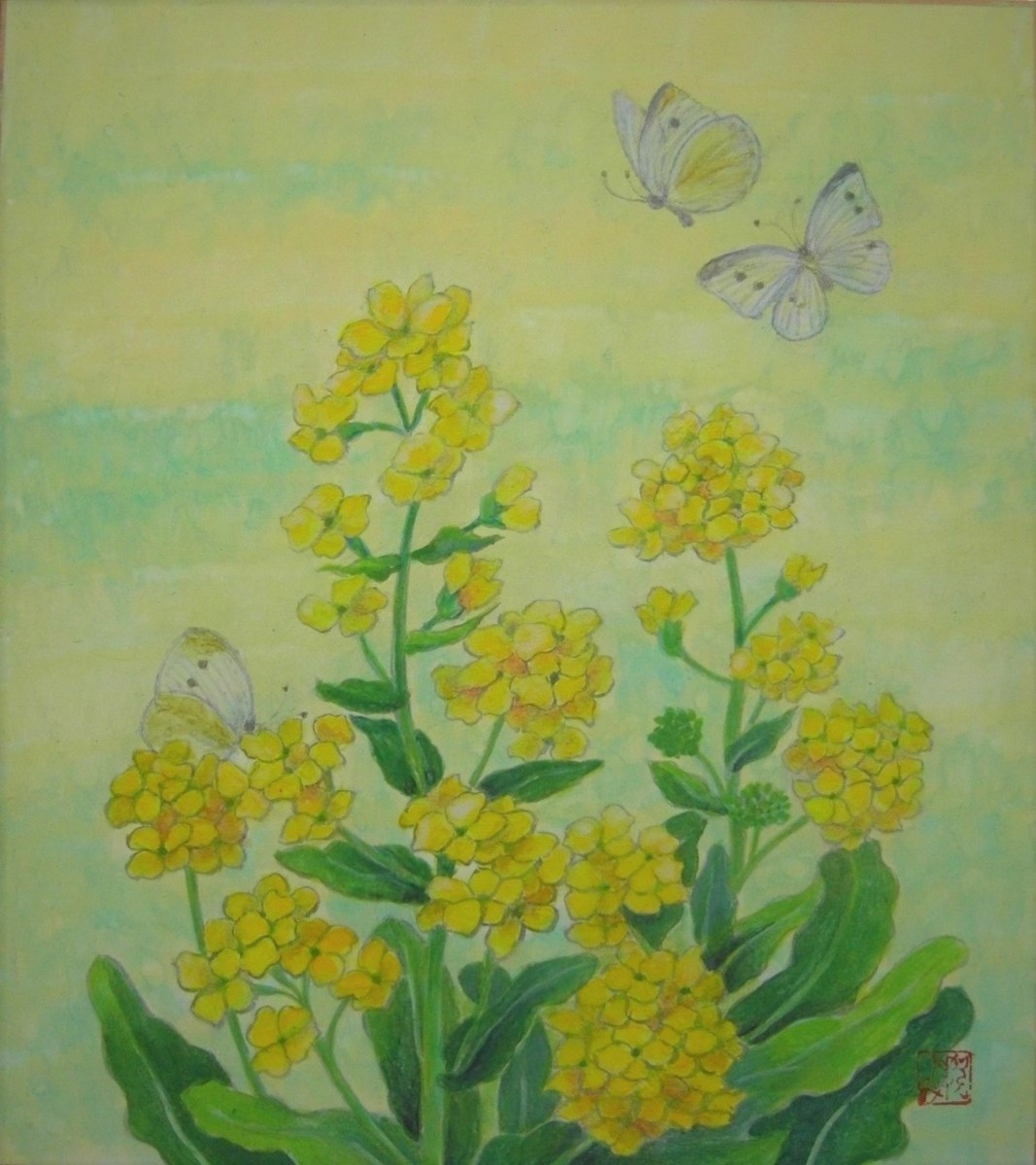 菜の花ともんしろ蝶(3)