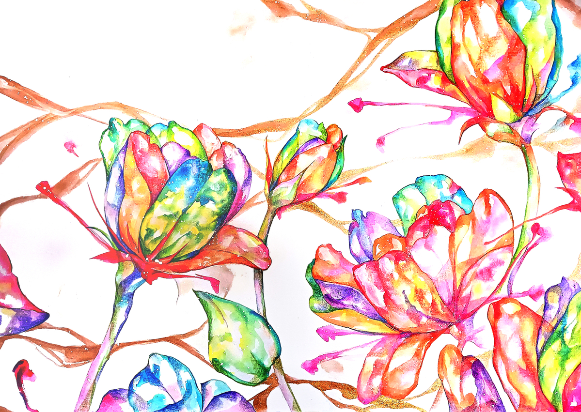 colorful flowers