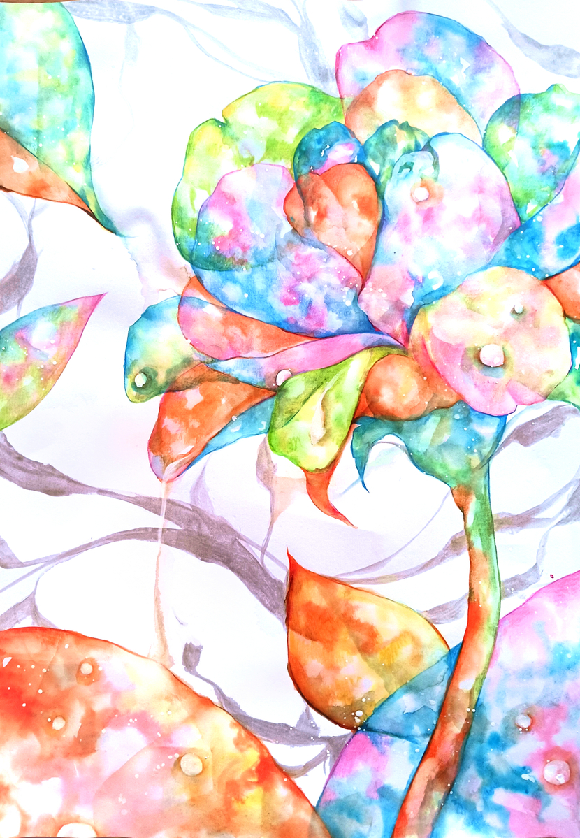colorful flowers