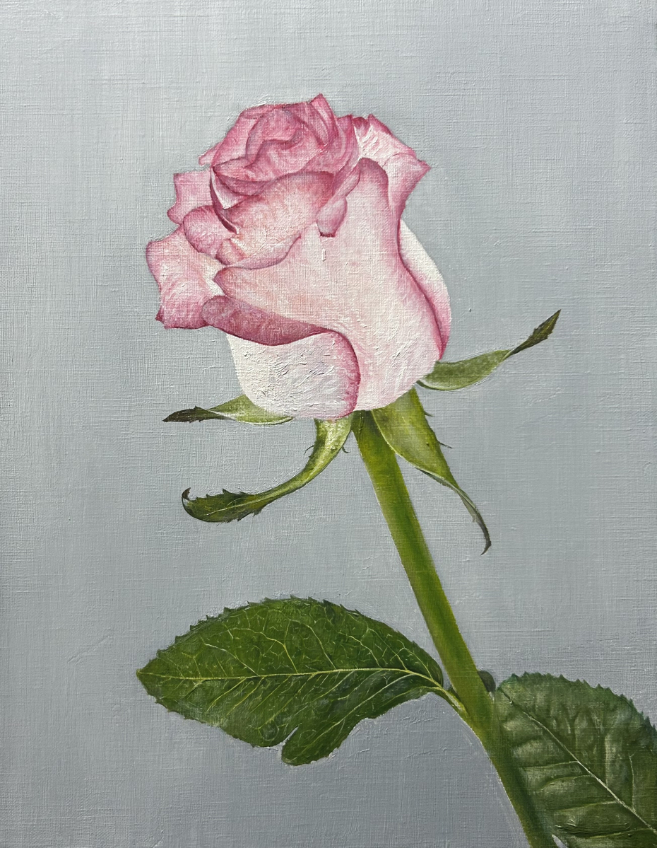 Around Ⅱ-薔薇-