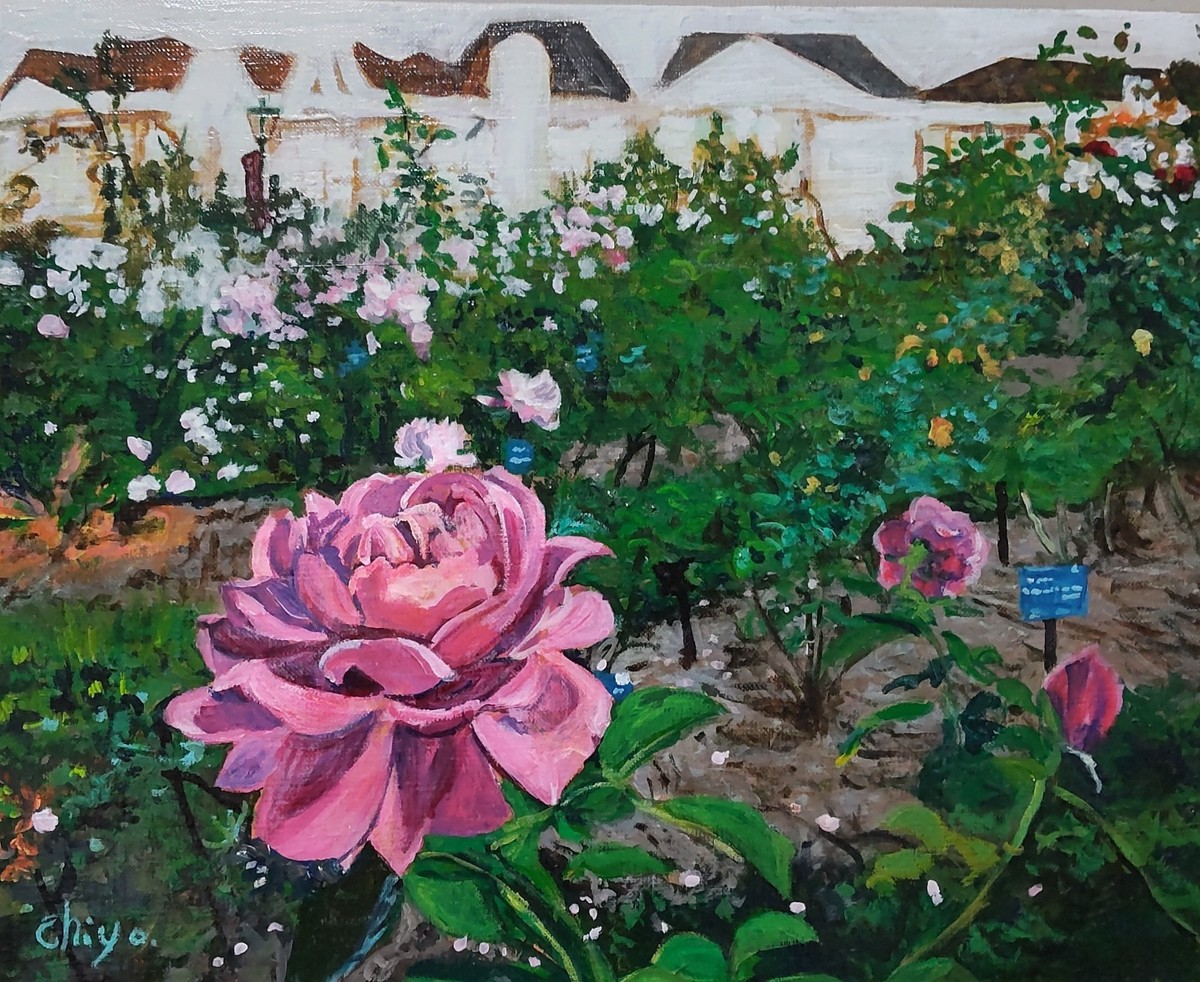 rose garden