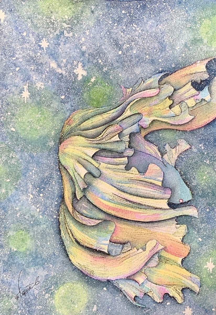 海底の宙