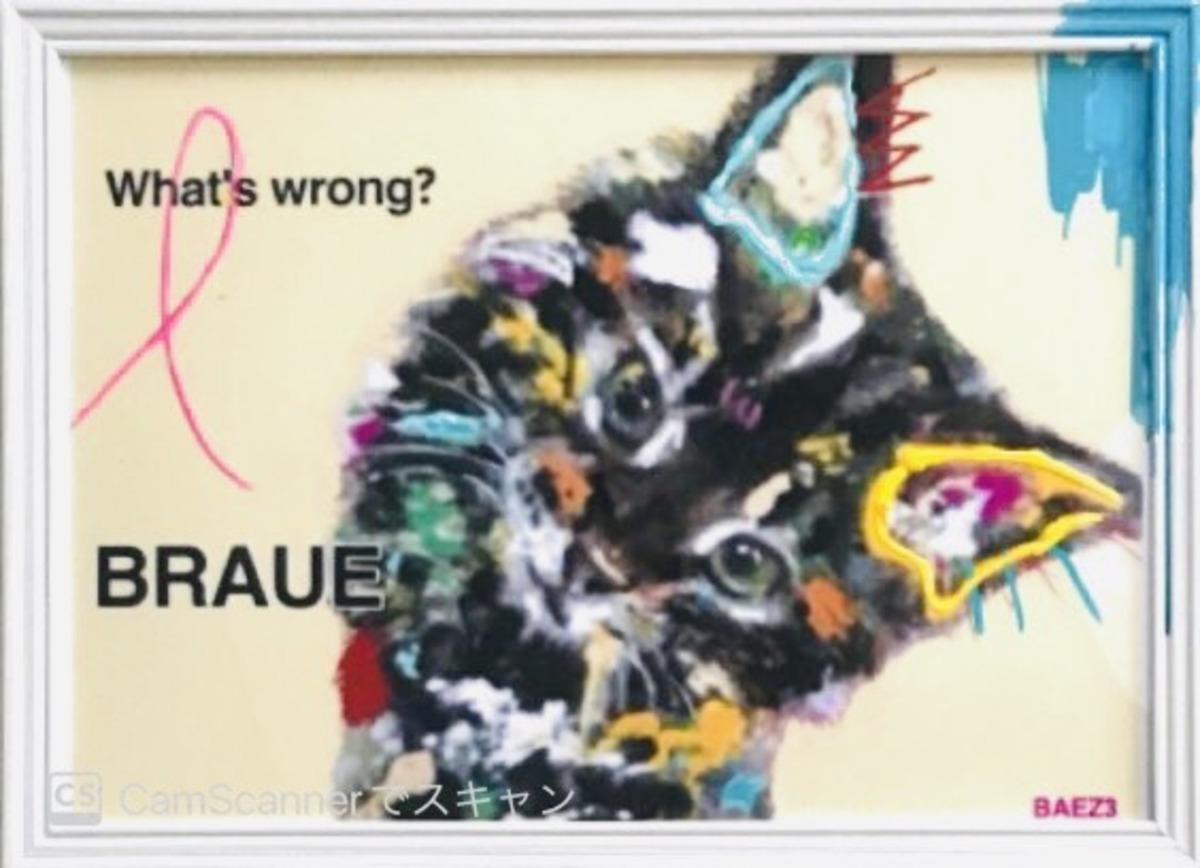 BRAUE(デジタル、アナログ融合作品)