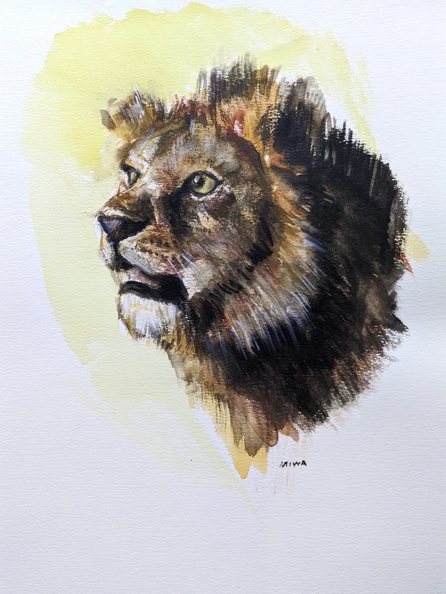 lion