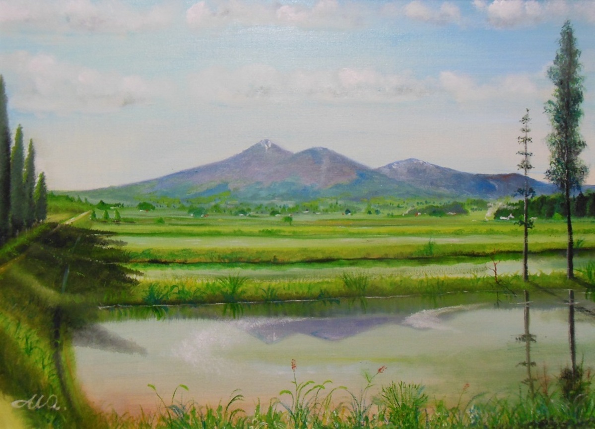 5月の田園風景
