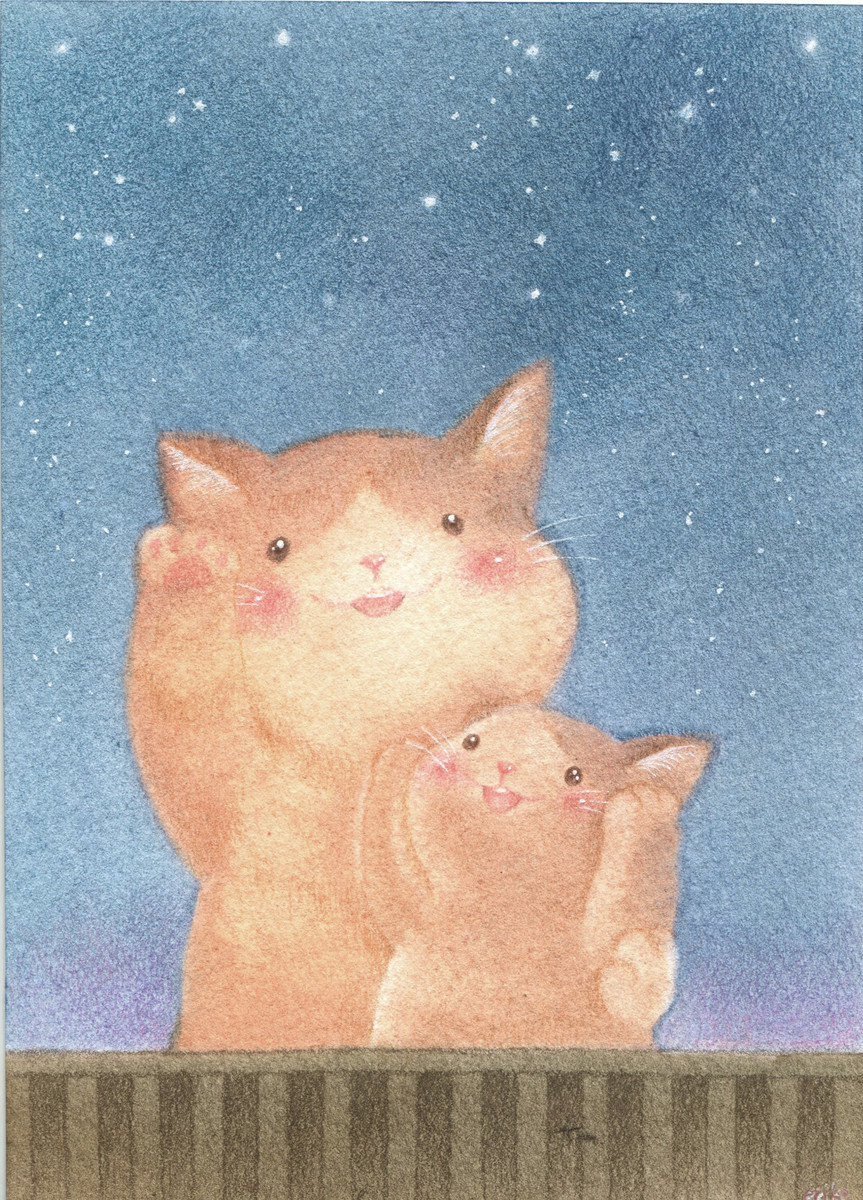 星空