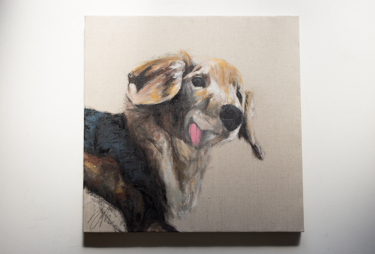 Miniature dachshund / ミニチュアダックス