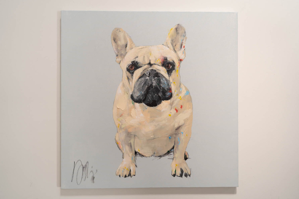 French bulldog / フレンチブルドック