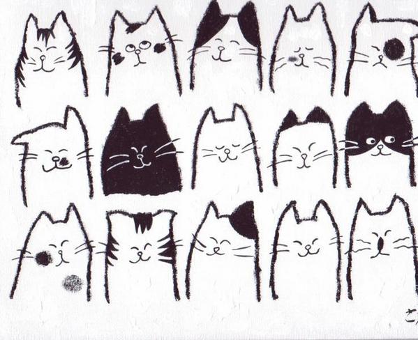 猫模様?