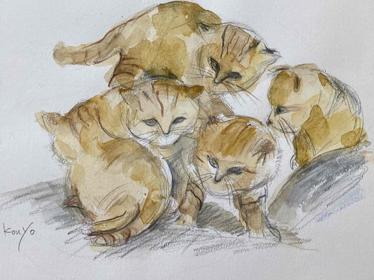 猫の作品一覧｜Artmeter｜暮らしを彩るアートが、きっと見つかる