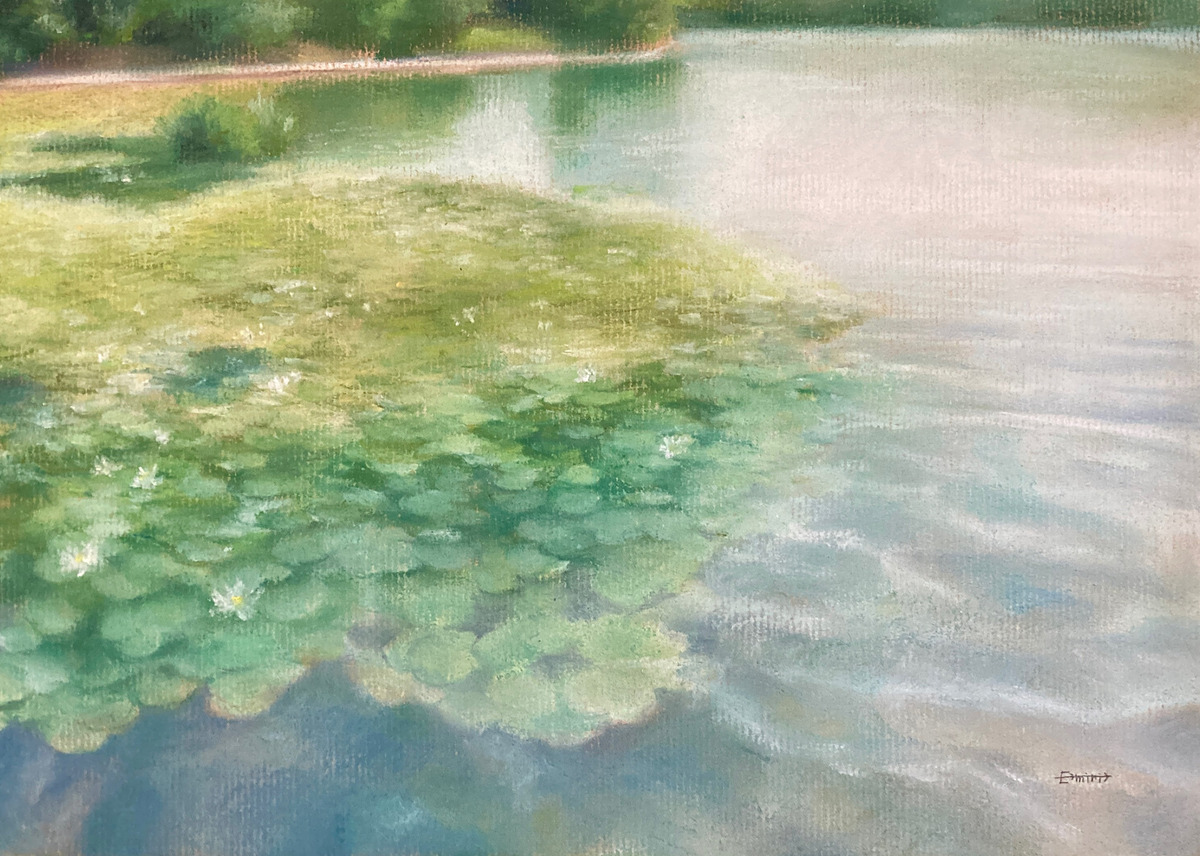 睡蓮のある水辺 No.3