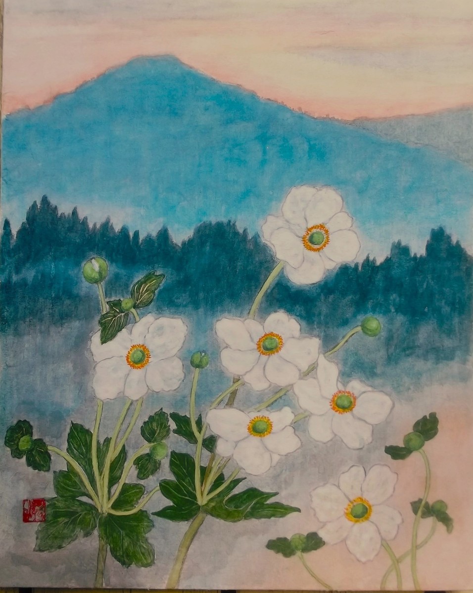 秋明菊