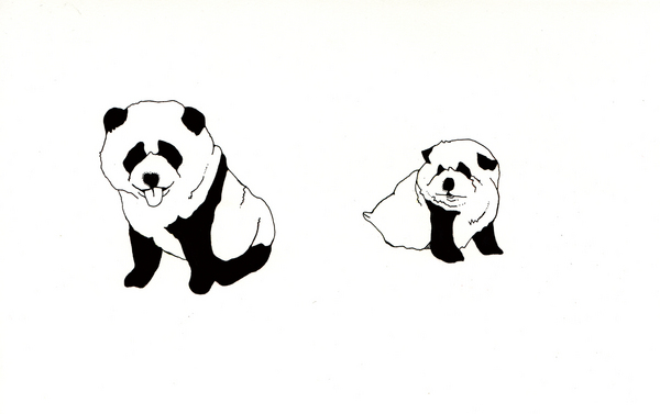 イラスト画 パンダ犬 Akanex Art Meter