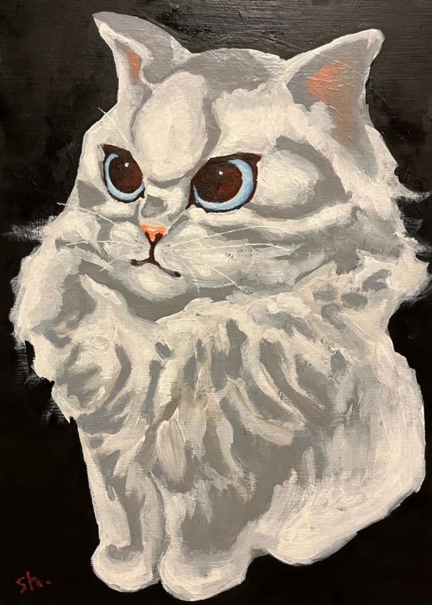 cat
