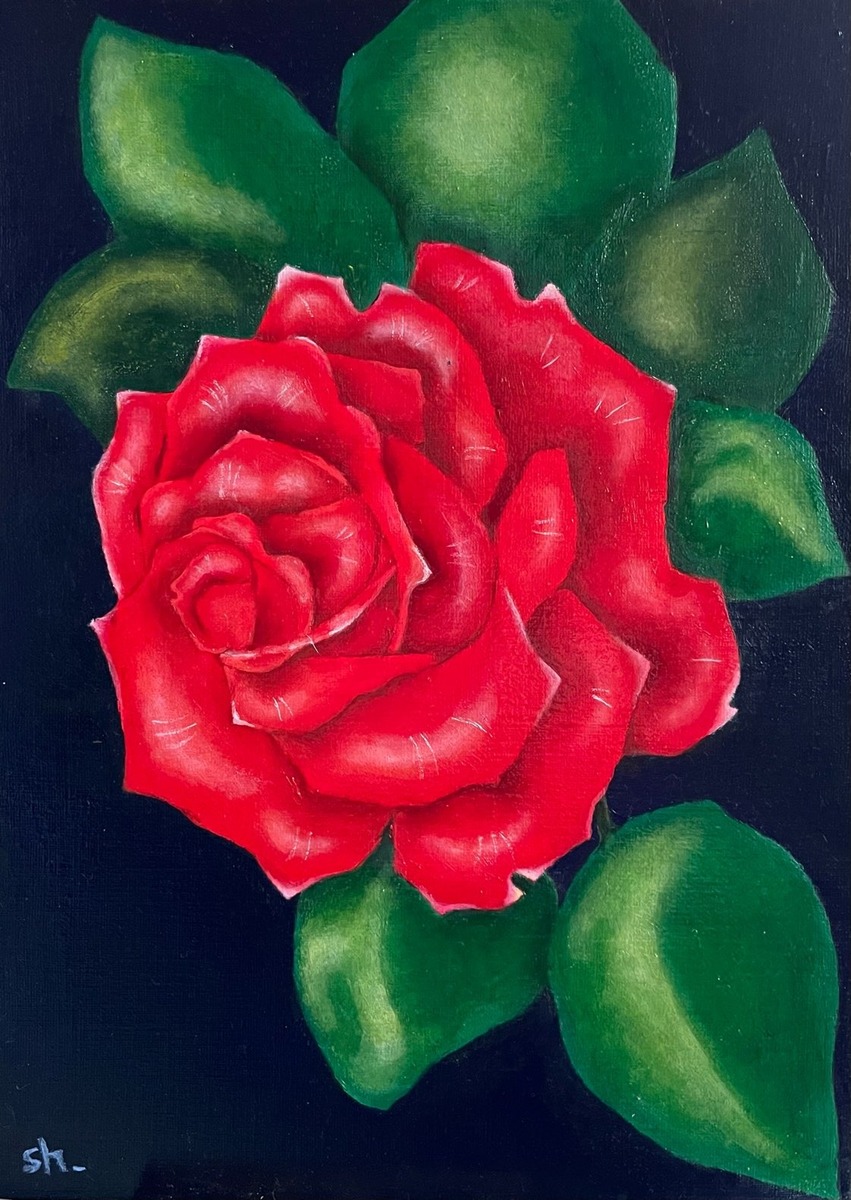 薔薇