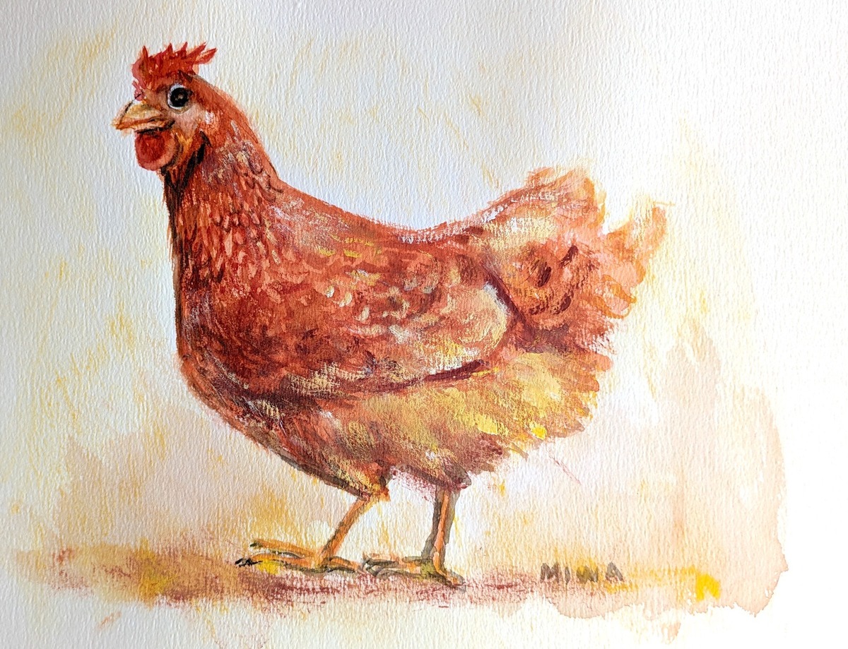 The hen