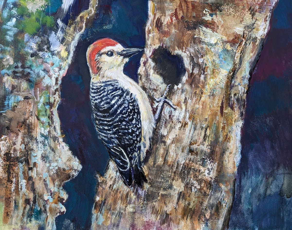 woodpecker