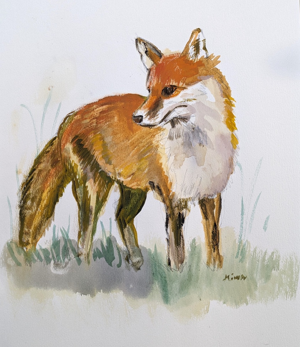 Fox