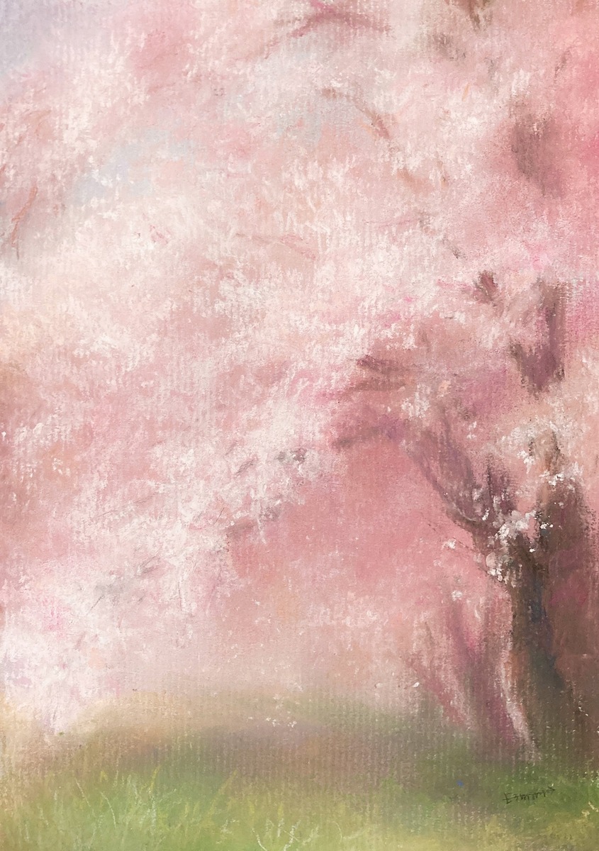 桜 No.3
